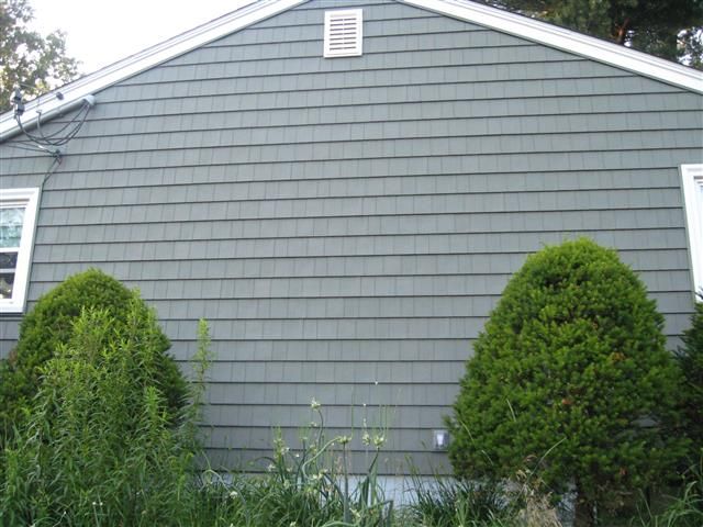 How to Stop Woodpeckers From Eating My House | DIY Home Improvement Forum